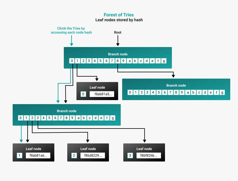 Forest of tries